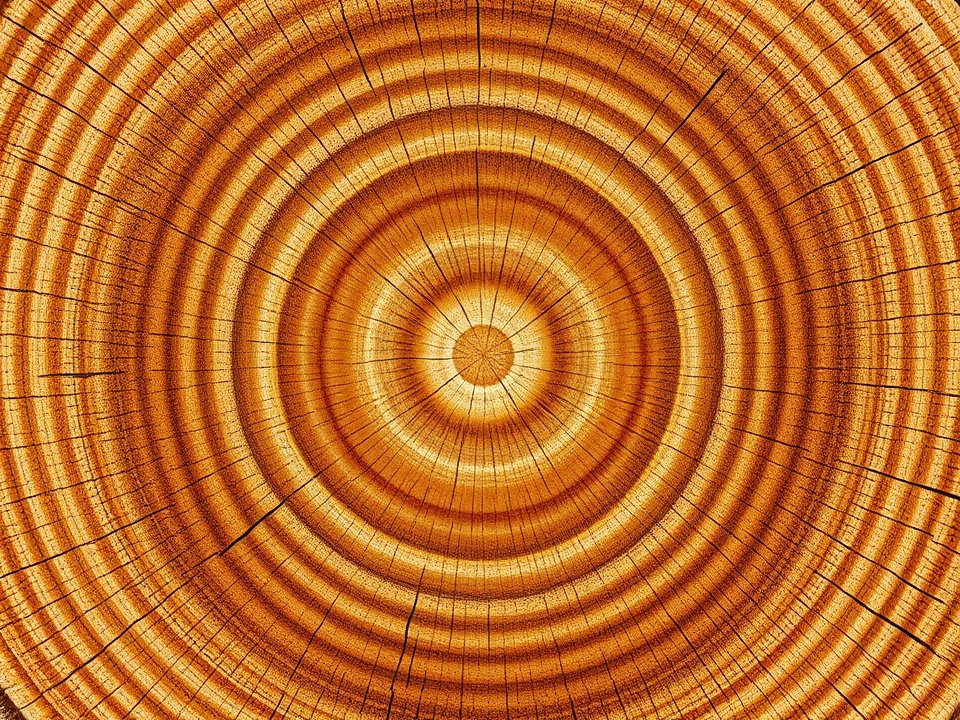 Фасадная доска из ДПК