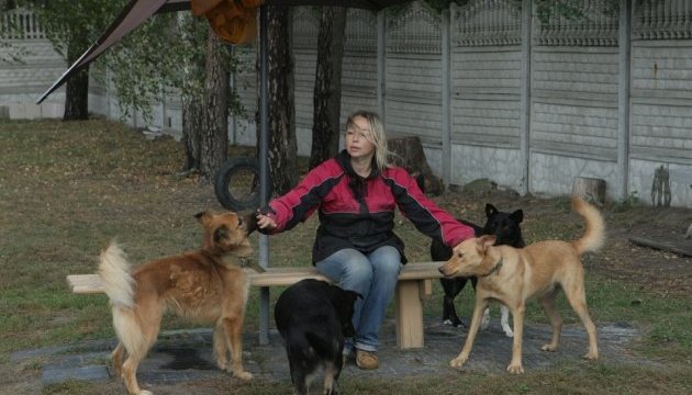 В столичном приюте для животных открыли комнату для посетителей / Фото: Овсянникова Юлия